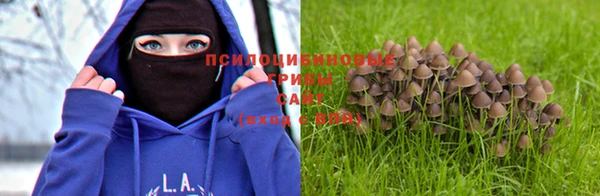 прущая мука Балабаново